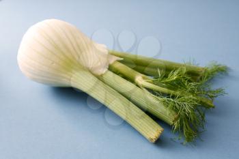 Royalty Free Photo of Fennel