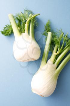Royalty Free Photo of Fennel