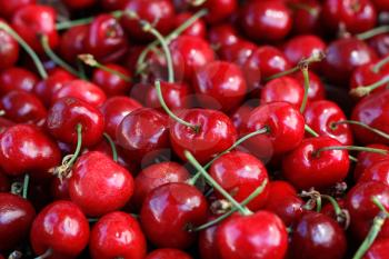 Royalty Free Photo of Cherries