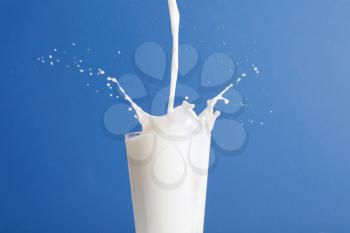 Royalty Free Photo of a Glass of Milk