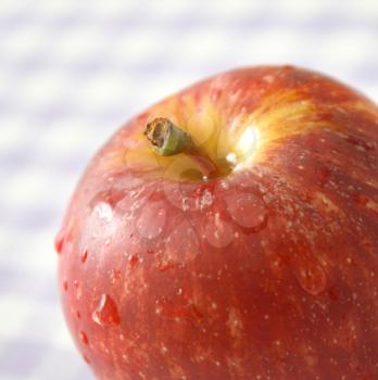 Royalty Free Photo of an Apple