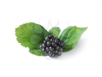 Royalty Free Photo of a Blackberry