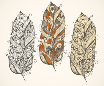 Vector highly detailed doodle  feathers