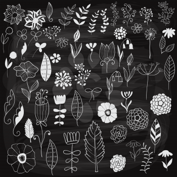 Vector Chalk Drawn Spring Floral Design Elements