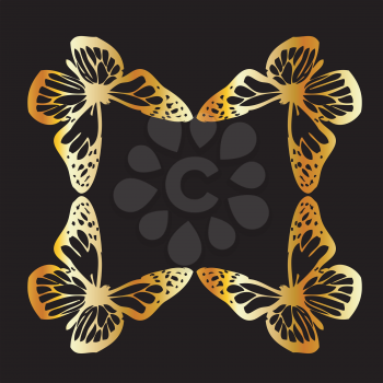 Lepidoptera Clipart