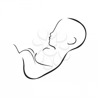 Foetus Clipart