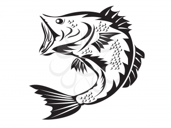 Royalty Free Clipart Image of a Bass Fish