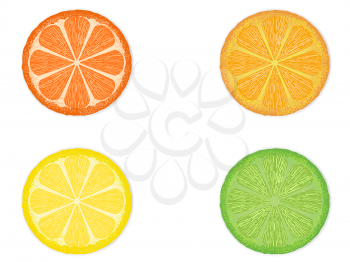 Royalty Free Clipart Image of Citrus Fruits