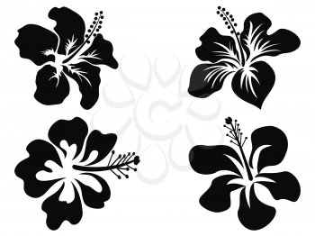 isolated black Hibiscus vector silhouettes on white background