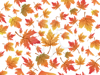 the seamless background of maples for autumn design