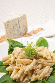 Italian traditional pasta penne gorgonzola and pine nuts