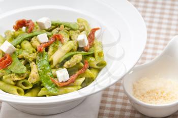 classic Italian penne pasta with sundried tomato and basil