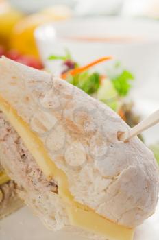 tuna fish and cheese sandwich with fresh mixed salad ,MORE DELICIOUS FOOD ON PORTFOLIO