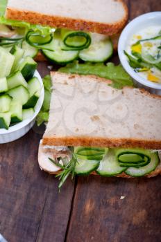 fresh vegetarian sandwich with garlic cheese dip salad on rustic table