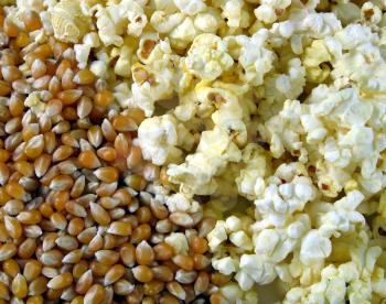 Royalty Free Photo of Popcorn and Kernels