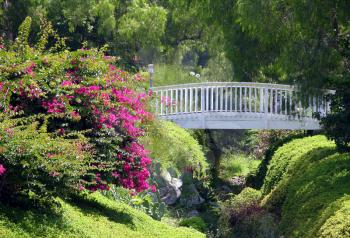Royalty Free Photo of a Bridge in a Garden