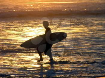 Royalty Free Photo of a Surfer Carrying His Board