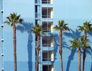 Royalty Free Photo of Palm Trees by a Hotel