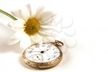 Royalty Free Photo of a Pocket Watch and Flower