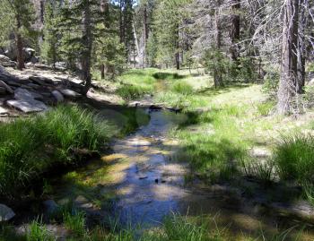 Royalty Free Photo of a Scenic Mountain Stream