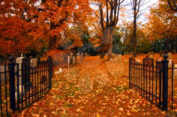 Royalty Free Photo of Autumn Leaves At The Entrance To A Cemetery
