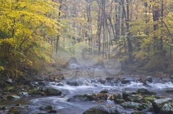 Royalty Free Photo of a River