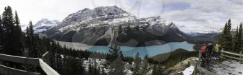 Picturesque Peyto Lake, in Banff National Park.Peyto Lake (pea-toe) is a glacier-fed lake located in Banff National Park in the Canadian Rockies. The lake itself is easily accessed from the Icefields 