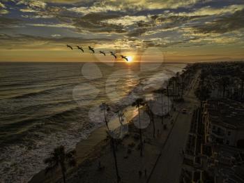 Royalty Free Photo of Pelicans gliding past a beach in Southern California.