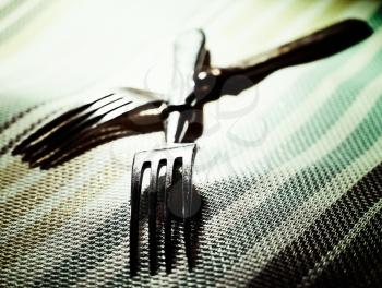 Pair. Abstract kitchen still life with two fork