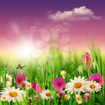 Beauty evening on the meadow, natural backgrounds