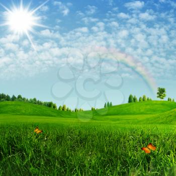 Beauty summer. Abstract environmental backgrounds