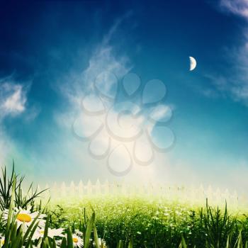 Beauty night on the meadow, abstract natural backgrounds
