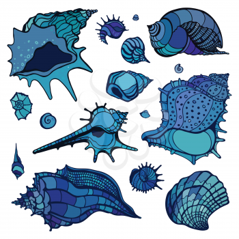 Sea shells collection. Hand drawn vector illustration