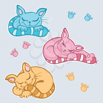 Cute Sleeping cats. Vector illustration.