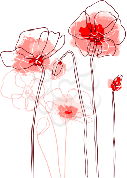 Red poppies on white background. Vector illustration