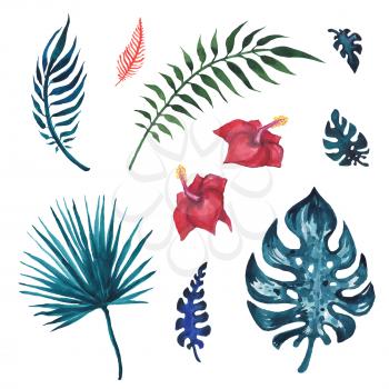 Set of palm leaves. Hand painted watercolor illustration
