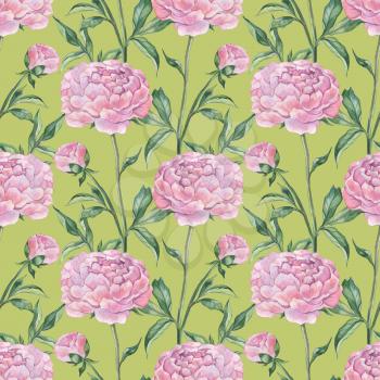 Peonies, seamless pattern. Hand painted Watercolor botanical illustration