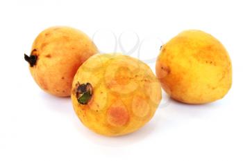 Royalty Free Photo of Guava Fruits