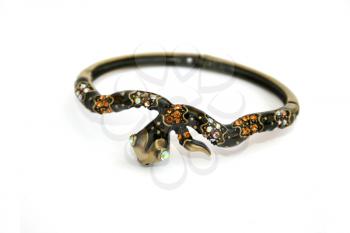 Royalty Free Photo of a Snake Bracelet