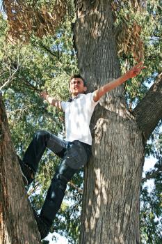 Royalty Free Photo of a Teenage Boy in a Tree