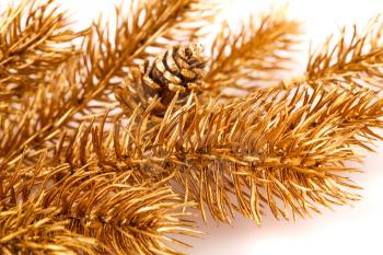 Christmas tree golden branch with cone isolated on white background.