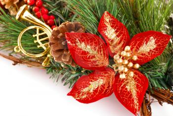 Holly berry flower and Christmas decoration on white background.