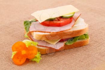 Sandwich with rusks, vegetables, bacon and cheese on canvas background.