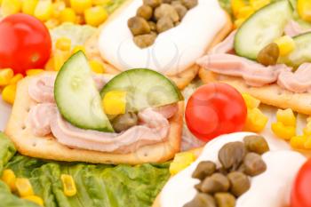 Fish cream on crackers, sweet corn, cherry tomato and lettuce closeup picture.