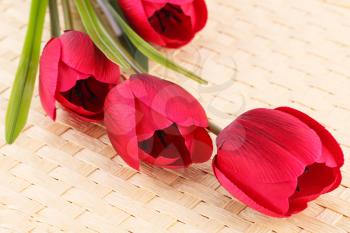 Reed fabric tulips on bamboo background.