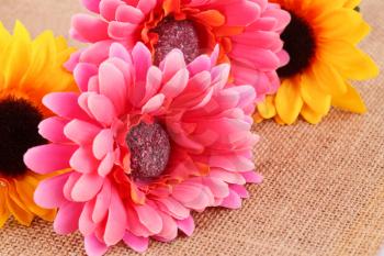 Colorful fabric daisies on canvas background, closeup picture.