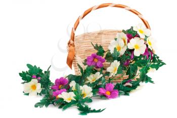 Fabric flowers in wicker basket isolated on white background.