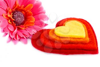 Colorful hearts, daisy flower on white background.
