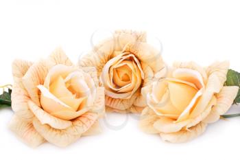 Yellow fabric roses isolated on white background.