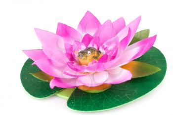 Pink lotus and frog in it isolated on white background.